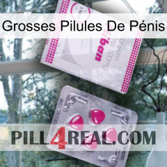 Grosses Pilules De Pénis 32